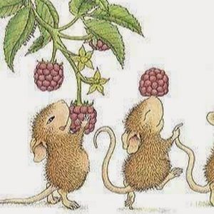 Meet your Posher, Open